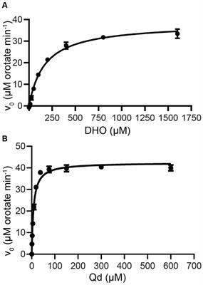 A bacterial quorum sensing signal is a potent inhibitor of de novo pyrimidine biosynthesis in the globally abundant Emiliania huxleyi